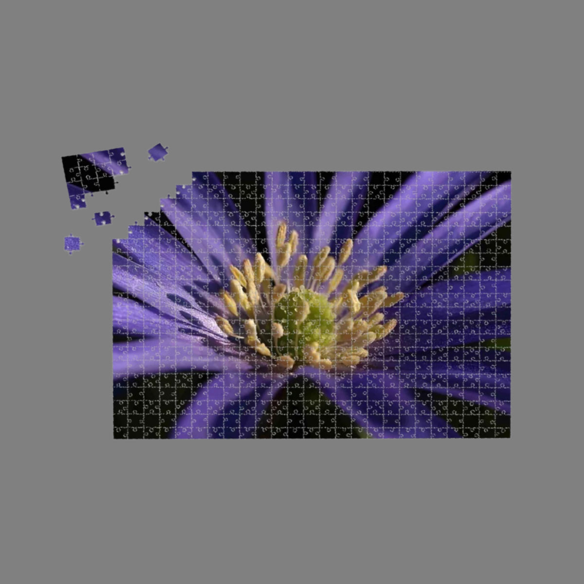 floral 1000 piece wooden jigsaw puzzle featuring purple anemone