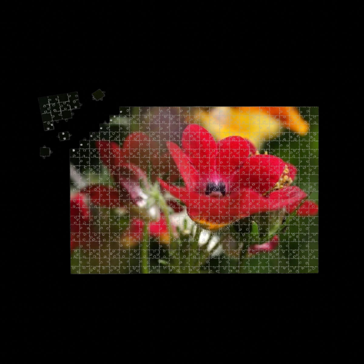 1000-piece wooden jigsaw puzzle showing a vibrant close-up of a red Nemesia flower with lush detail and golden center, full-color version, size 29.5" x 19.7", weight: 0.75kg