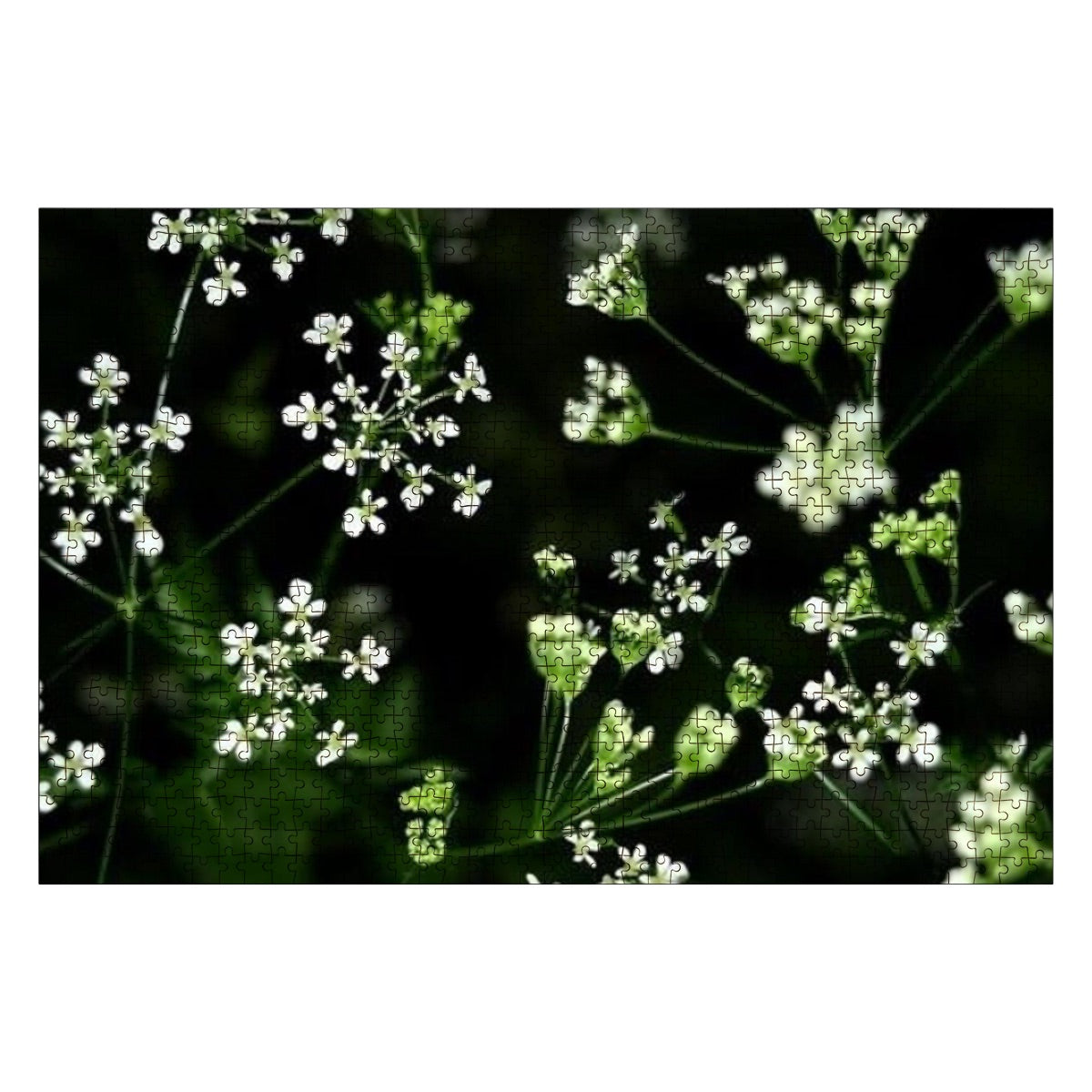 Oak wood jigsaw puzzle with a soft-focus image of white wildflowers in natural lighting and full color detail.