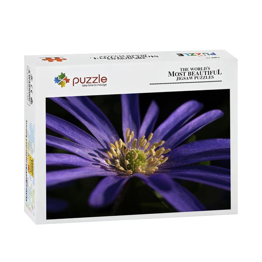 500-piece wooden jigsaw puzzle with close-up image of a purple anemone in full color, size 20.5" x 15"