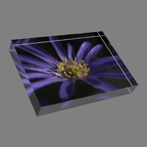 Acrylic photo block featuring a full color close-up of a Purple Anemone flower, printed in high definition on 7"x5"x1" crystal-clear acrylic.