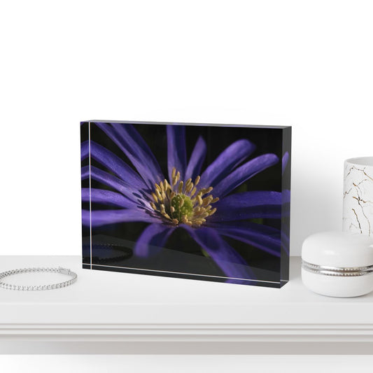 Acrylic photo block featuring a full color close-up of a Purple Anemone flower, printed in high definition on 7"x5"x1" crystal-clear acrylic.