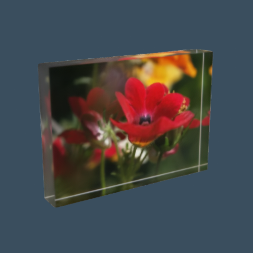 floral acrylic photo block size: 7''x5'' horizontal featuring close up photograph of red flower white green yellow background
