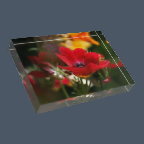 floral acrylic photo block size: 7''x5'' horizontal featuring close up photograph of red flower white green yellow background