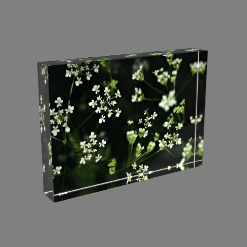 Acrylic Photo Block size 7''x5'' (horizontal) photograph of white little flowers with green and black background