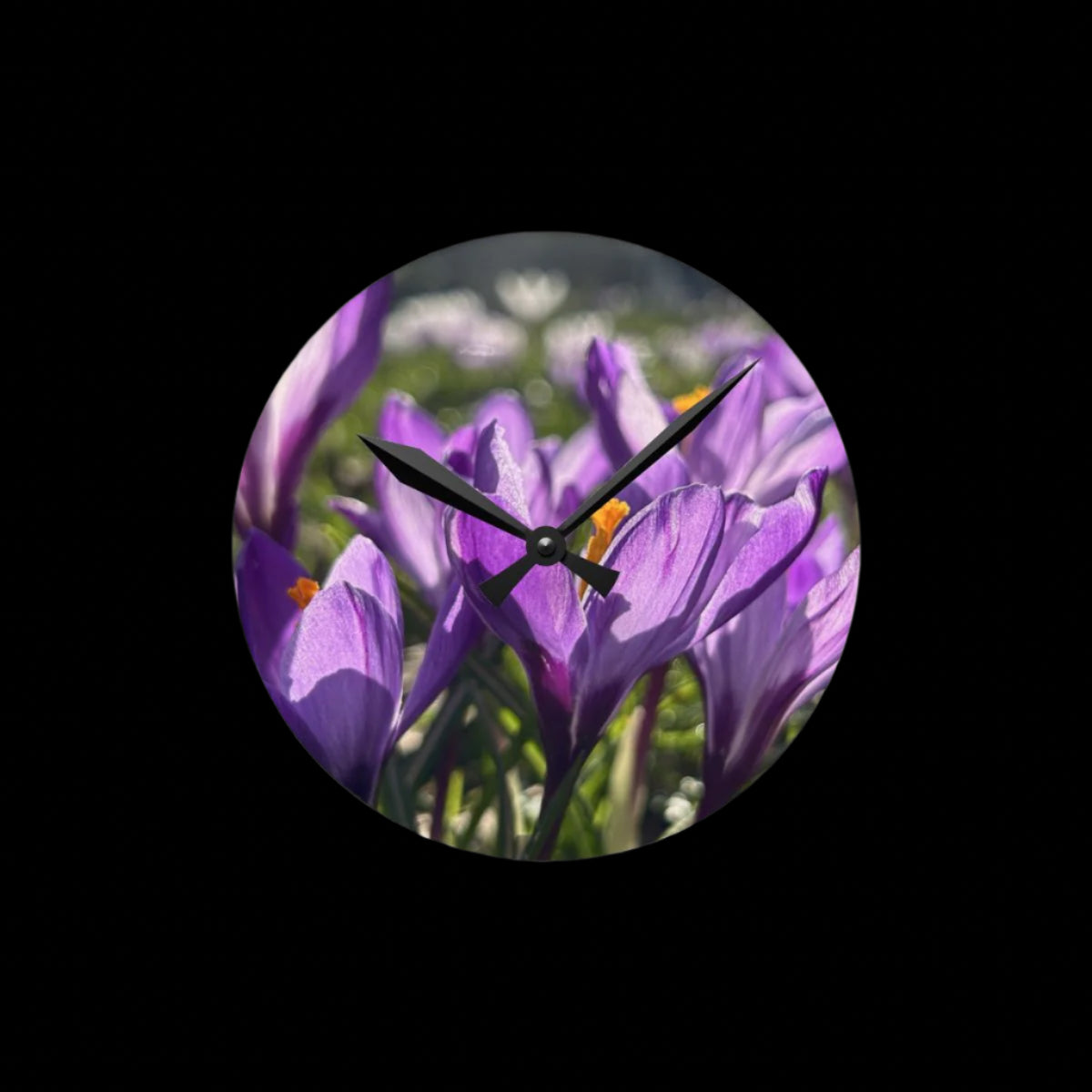 floral acrylic wall clock featuring crocus