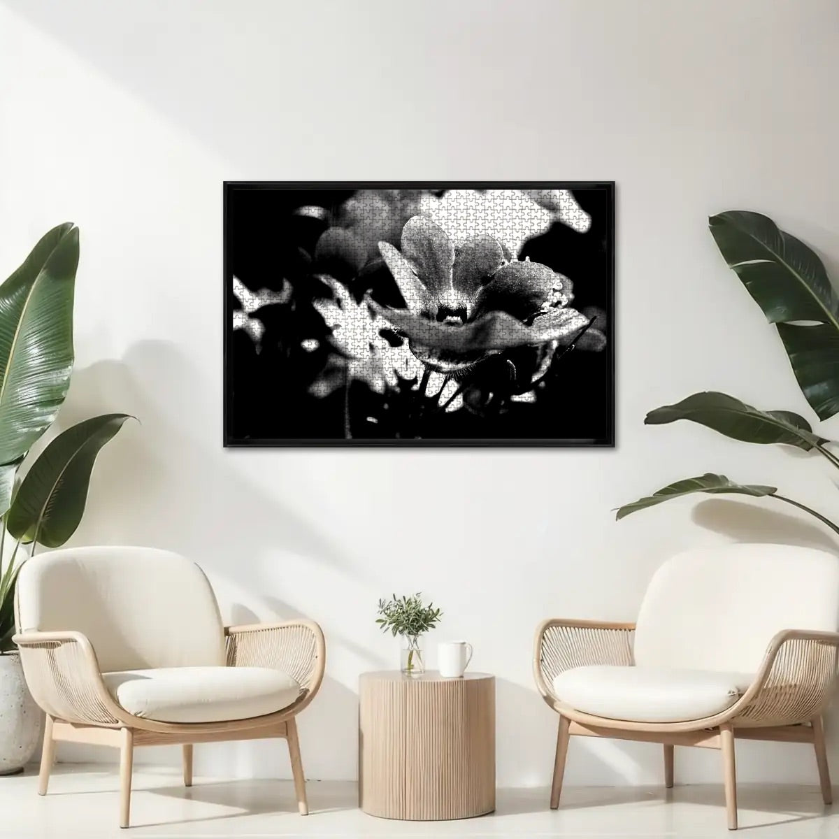 1000-piece wooden jigsaw puzzle featuring a black and white version of a red Nemesia flower close-up, emphasizing contrast and petal form, size 29.5" x 19.7", weight: 0.75kg