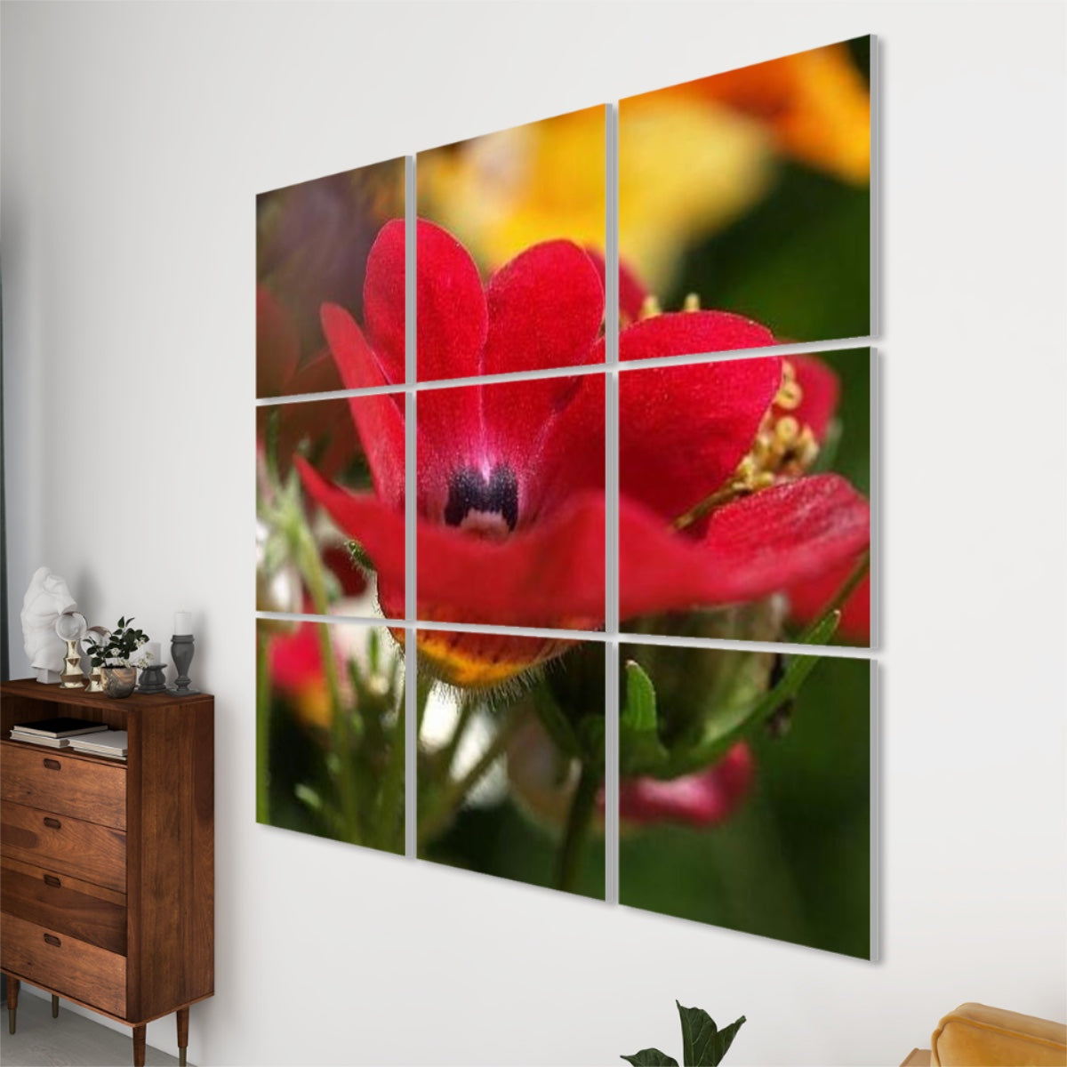 Close-up of vivid red Nemesia flower in bloom, set against a lush green and orange floral background in full color.