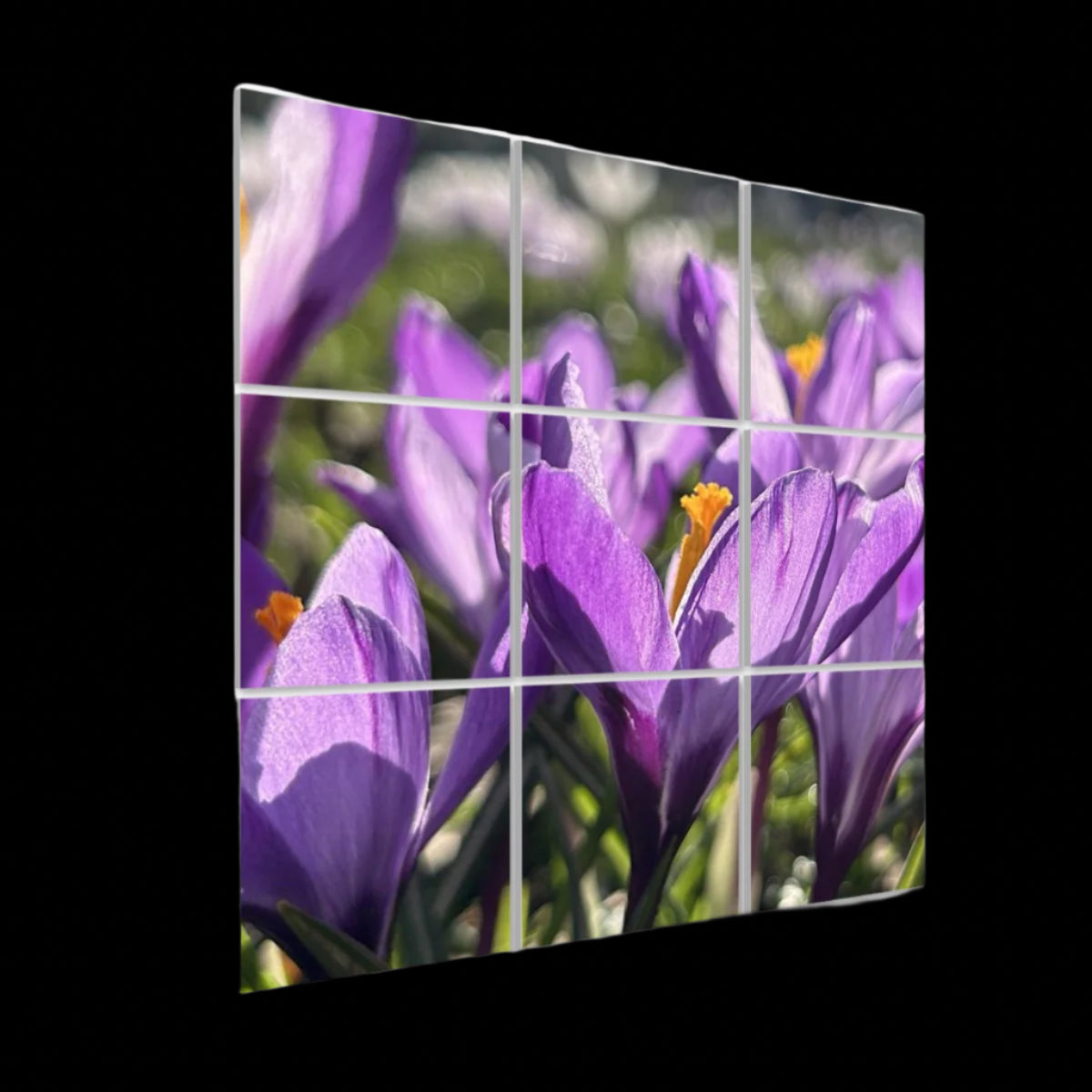 Left-angle view of Purple Crocuses wall art panels showing depth, texture, and a close-up springtime floral scene across the 9-panel display.