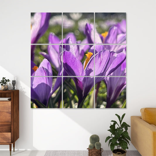 Front view of 9-panel acoustic wall art featuring vibrant purple crocuses in full bloom, with yellow-orange stamens and green leaves in bright sunlight.