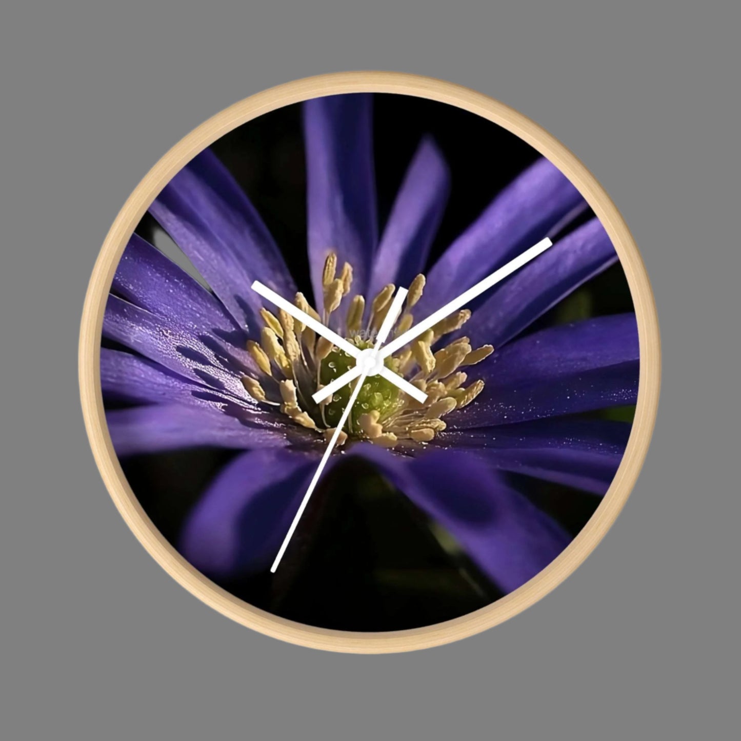 Floral Wall Clock featuring close up of purple anemone flower, base: wooden, hands: white, size: 10''