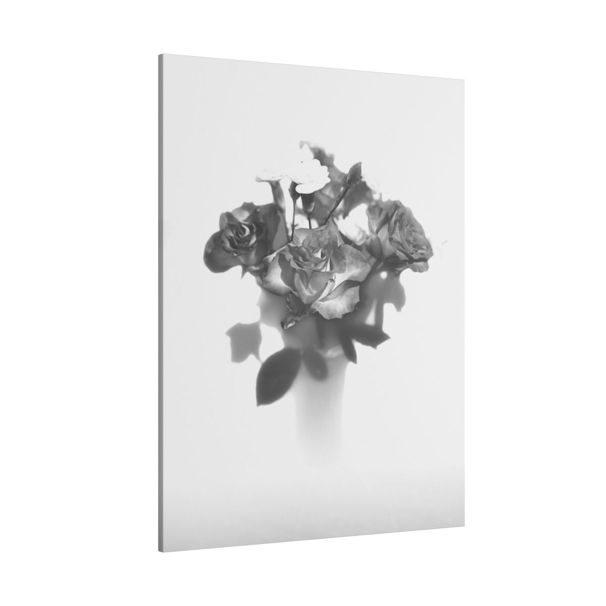 giclée canvas print featuring black and white photograph of roses