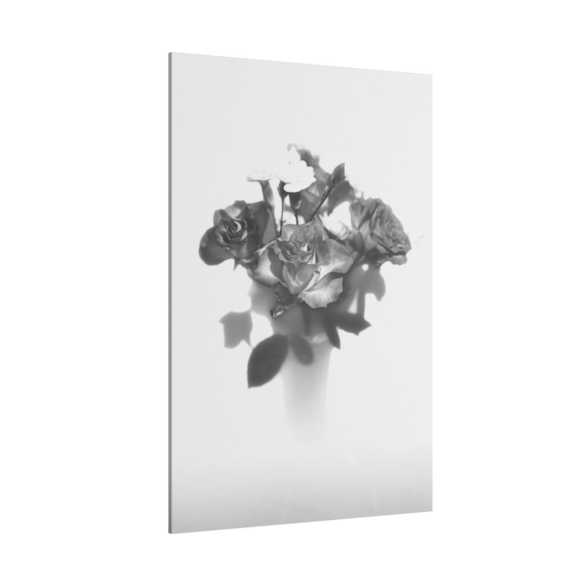 giclée canvas print featuring black and white photograph of roses