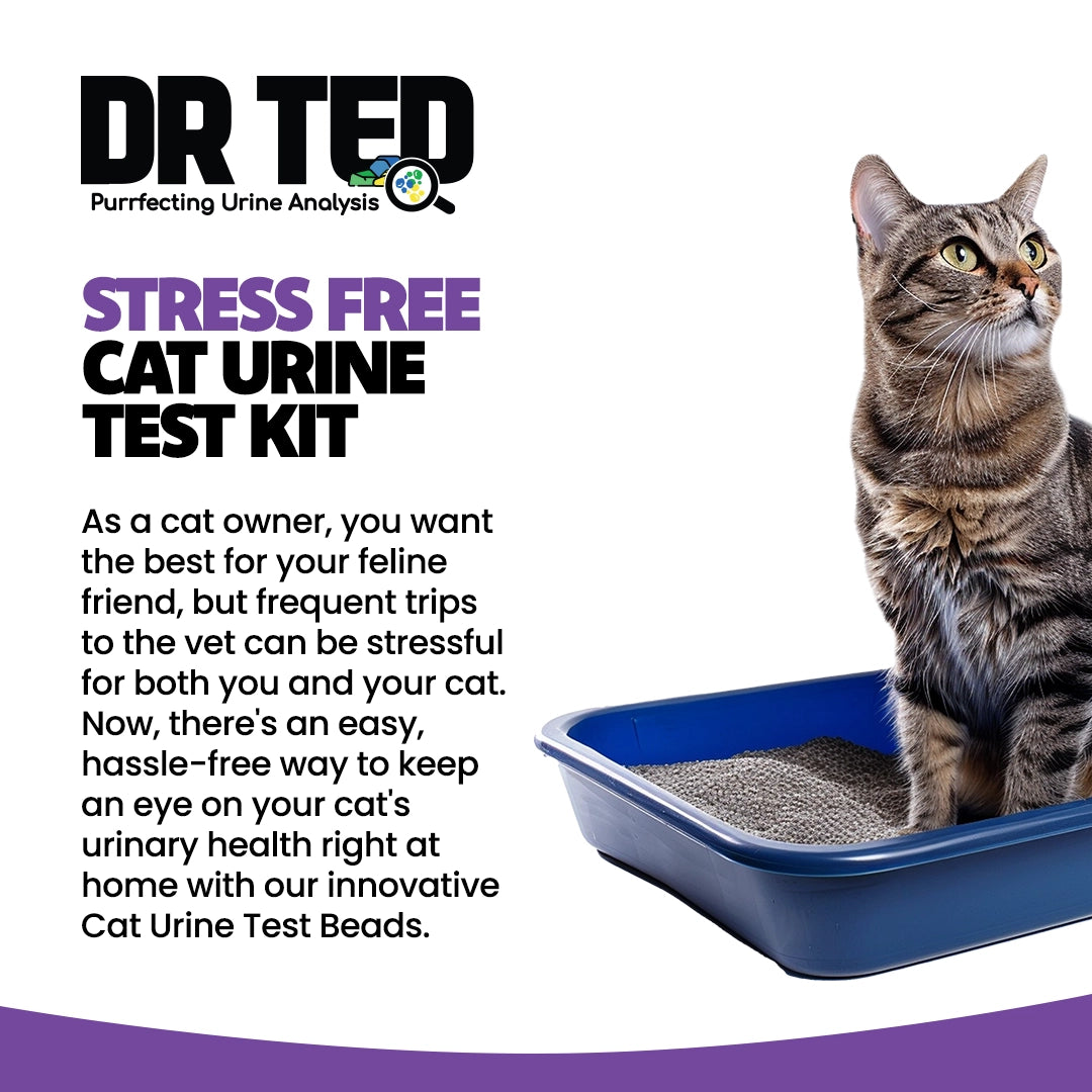 Dr Ted Cat Urine Test Kits 3 pack PH, Hematuria, Blood, Glucose, Kidney Stones