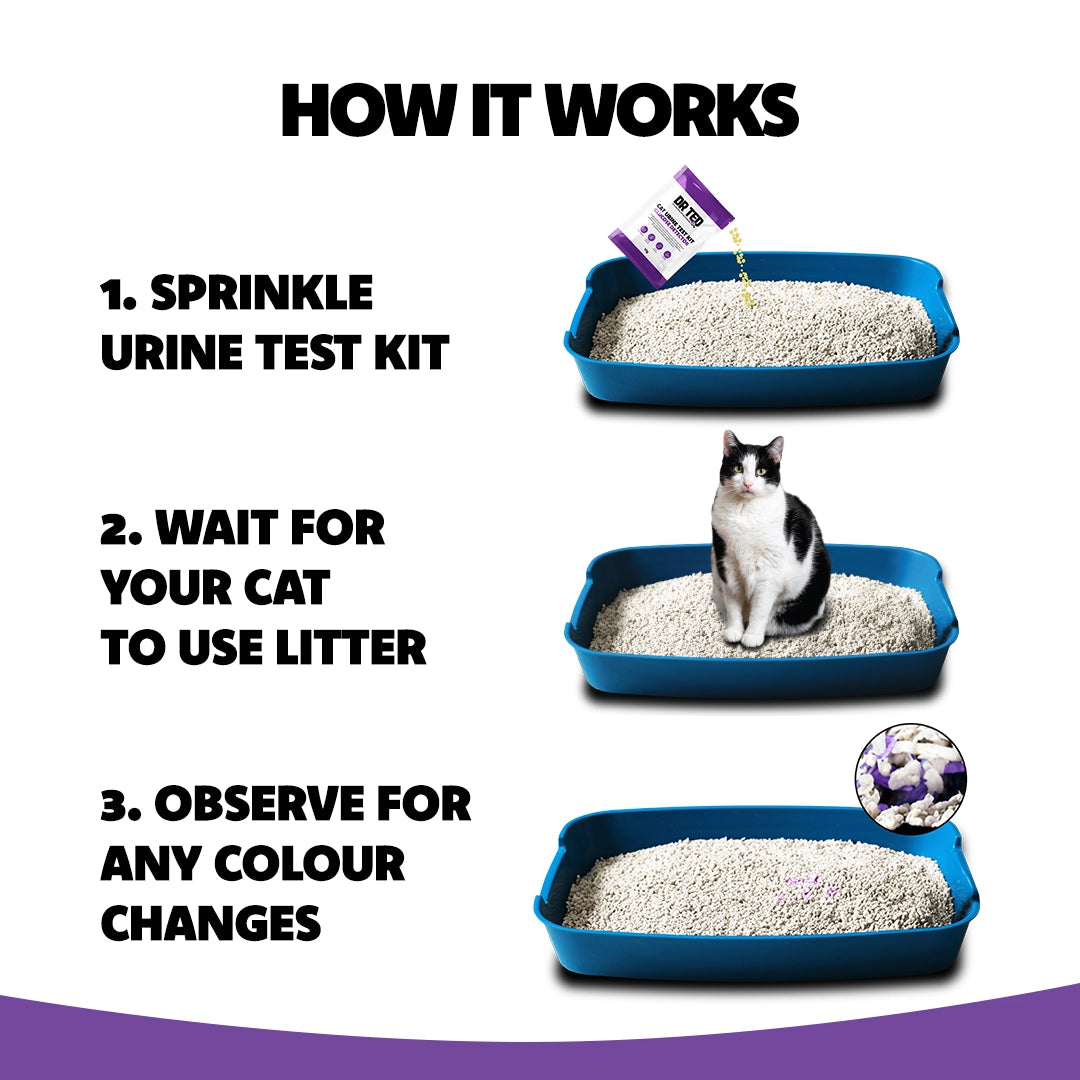 Dr Ted Cat Urine Test Kits 3 pack PH, Hematuria, Blood, Glucose, Kidney Stones