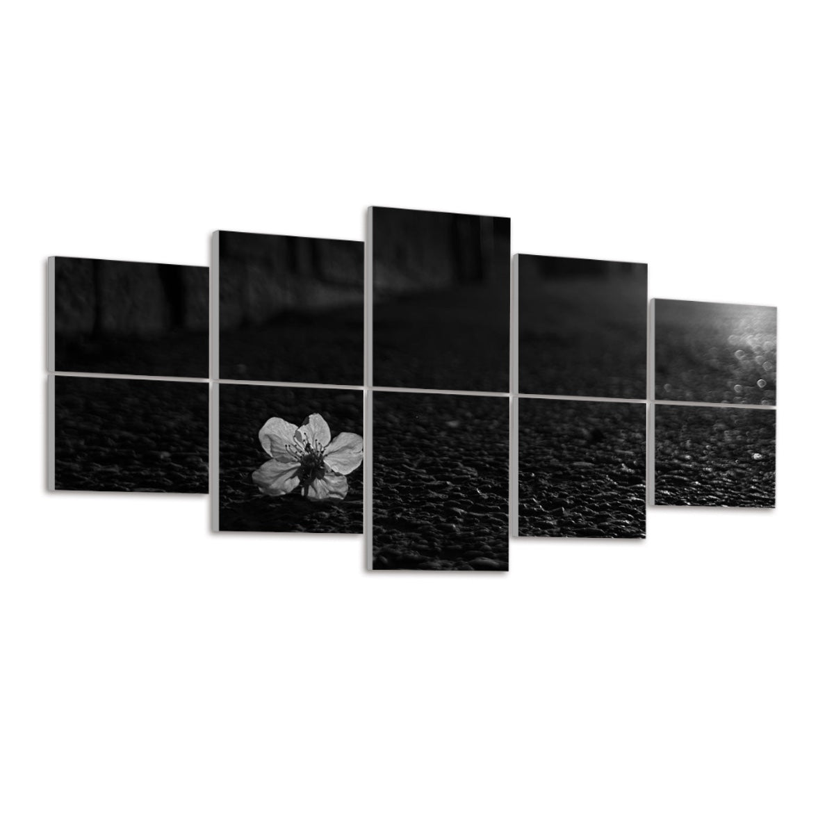 Grayscale version of a flower on dark pavement, rendered in smooth midtones across 10 decorative acoustic wall panels.