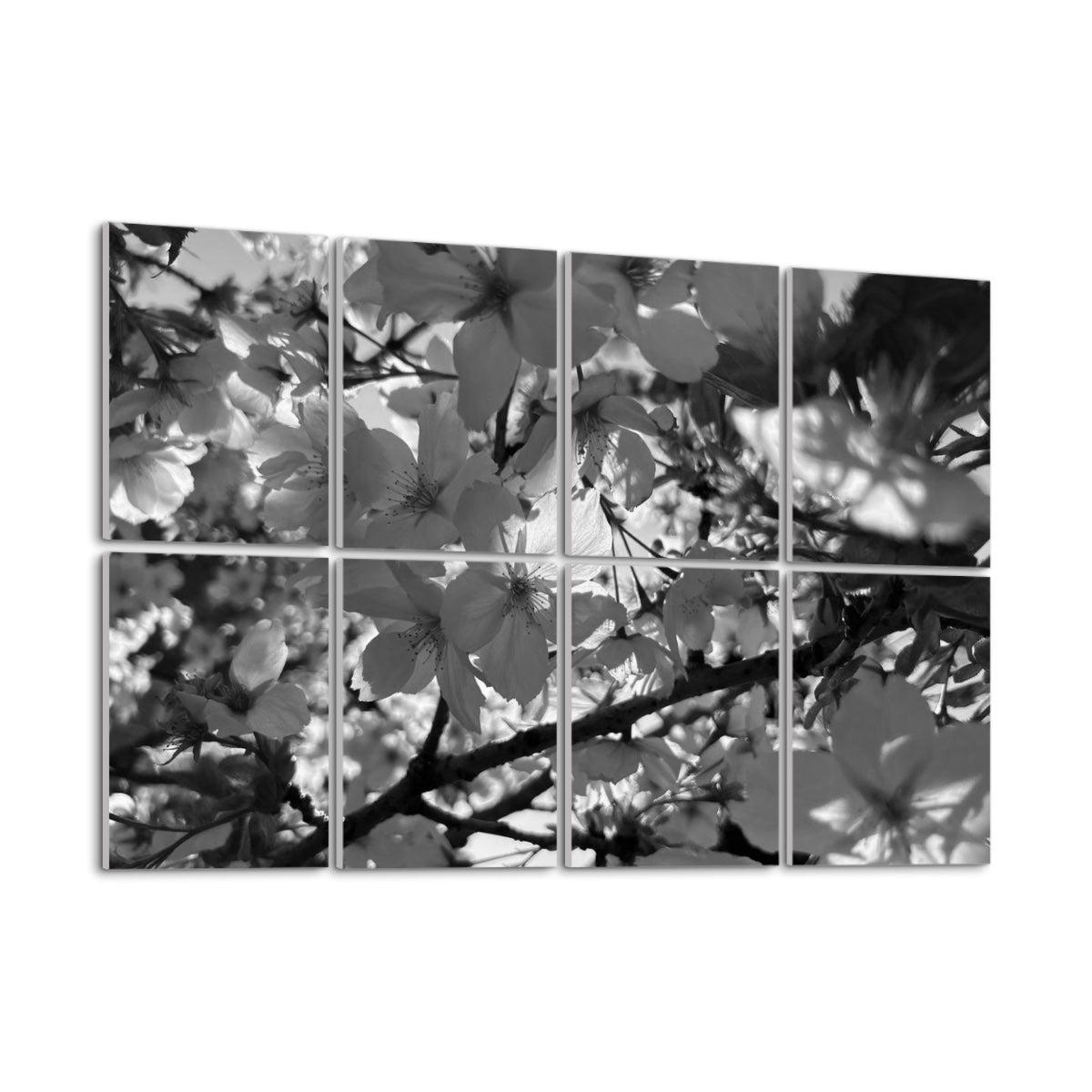 Grayscale version of white spring blossoms and tree branches divided across 8 sound absorbing panels with soft contrast and calm tone.