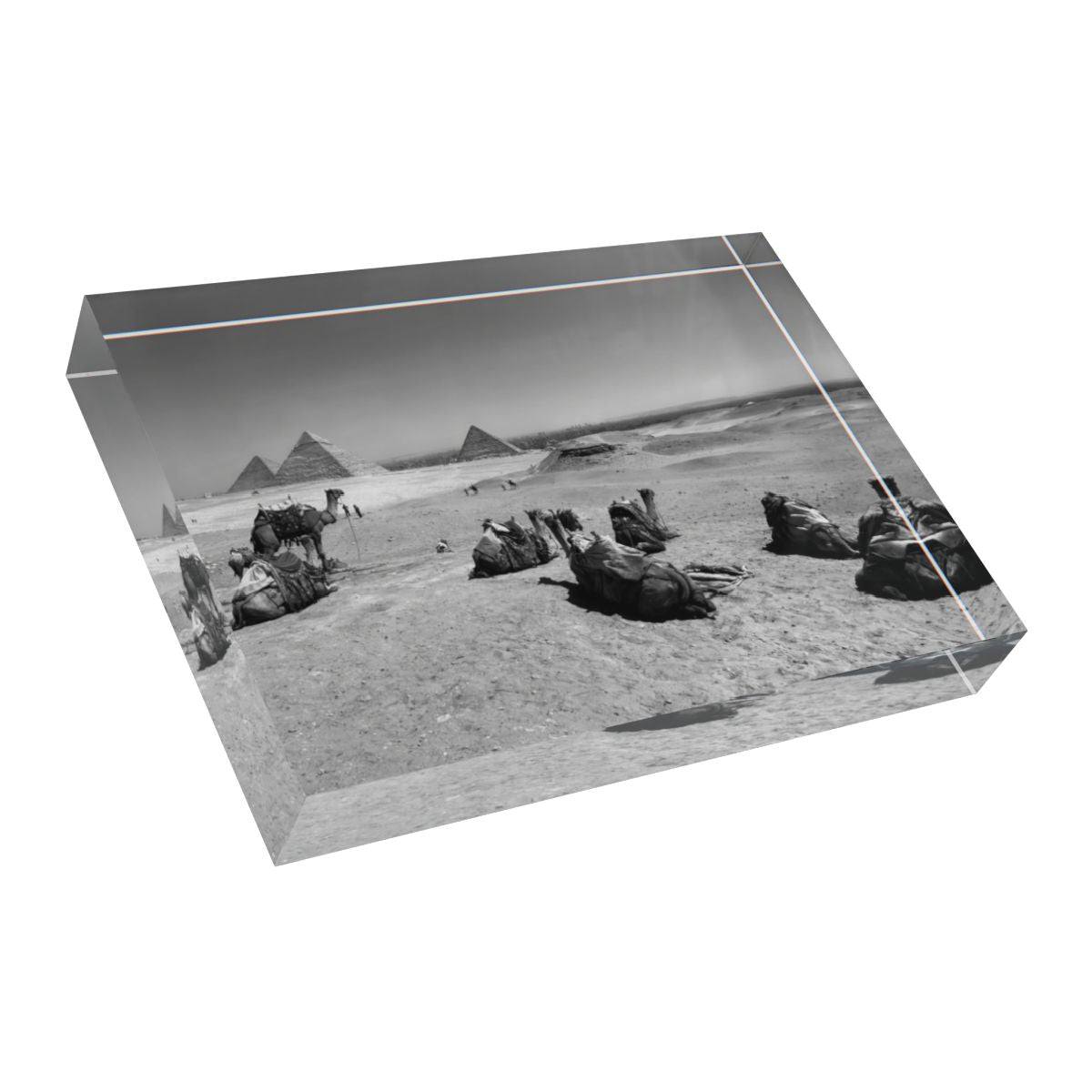 Grayscale acrylic photo block of camels and pyramids under a soft desert sky, showing subtle contrast and architectural focus on polished acrylic.
