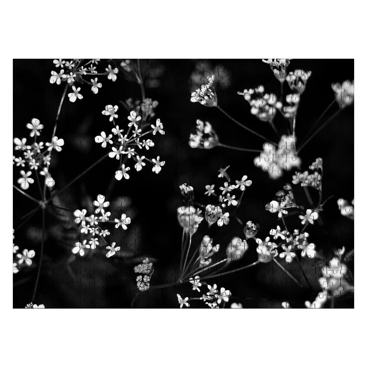 1000-piece wooden puzzle featuring a monochrome version of white wildflowers, soft and minimal in grayscale tones.