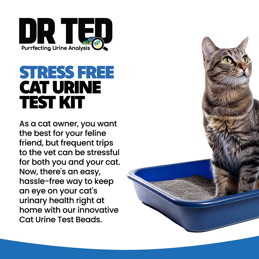 Dr Ted Cat Urine Test Kits 3 pack PH, Hematuria, Blood, Glucose, Kidney Stones