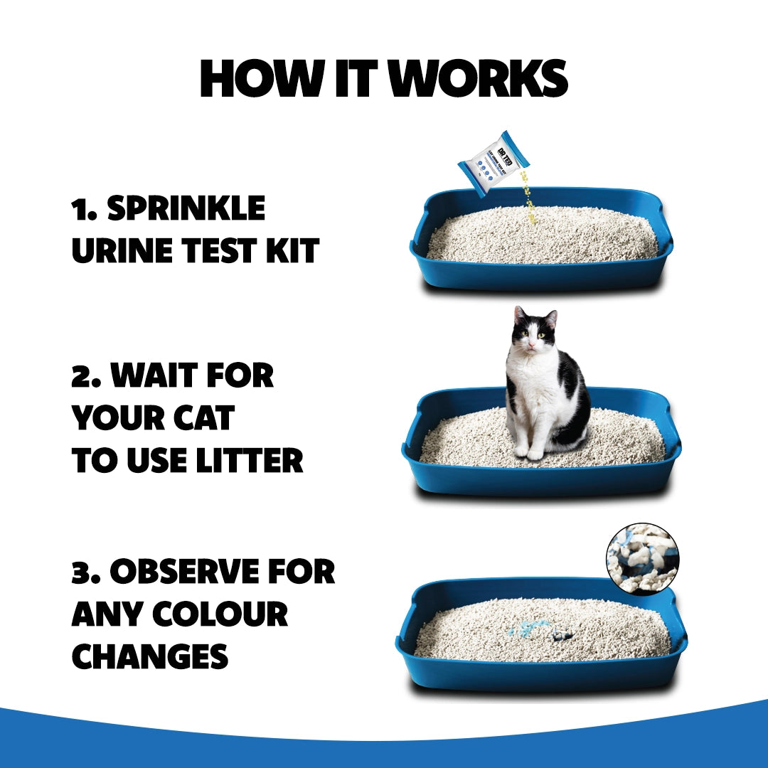 Dr Ted Cat Urine Test Kits 3 pack PH, Hematuria, Blood, Glucose, Kidney Stones