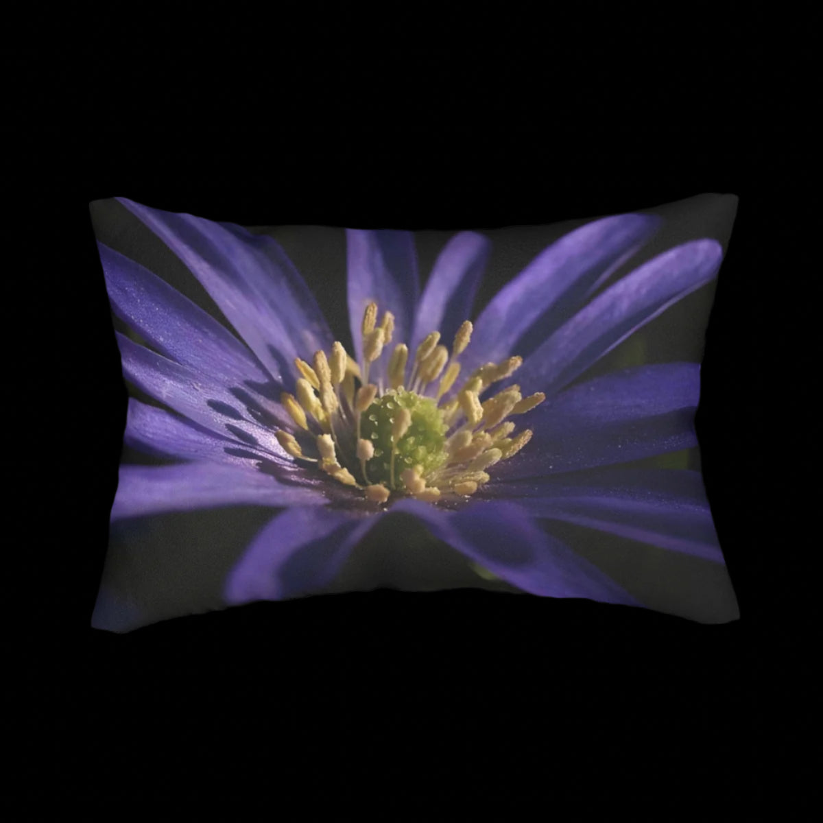 lumbar pillow featuring close up of purple anemone size:20''x14''