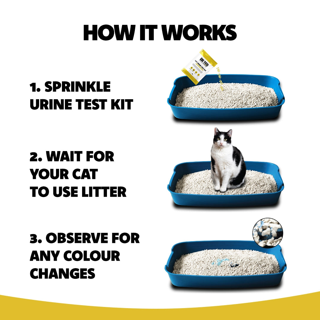 Dr Ted Cat Urine Test Kits 3 pack PH, Hematuria, Blood, Glucose, Kidney Stones