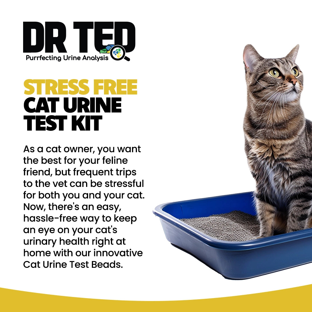 Dr Ted Cat Urine Test Kits 3 pack PH, Hematuria, Blood, Glucose, Kidney Stones