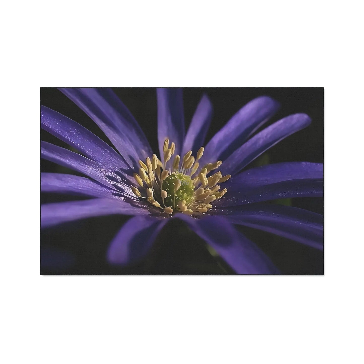 Heavy Duty Floor Mat featuring purple anemone