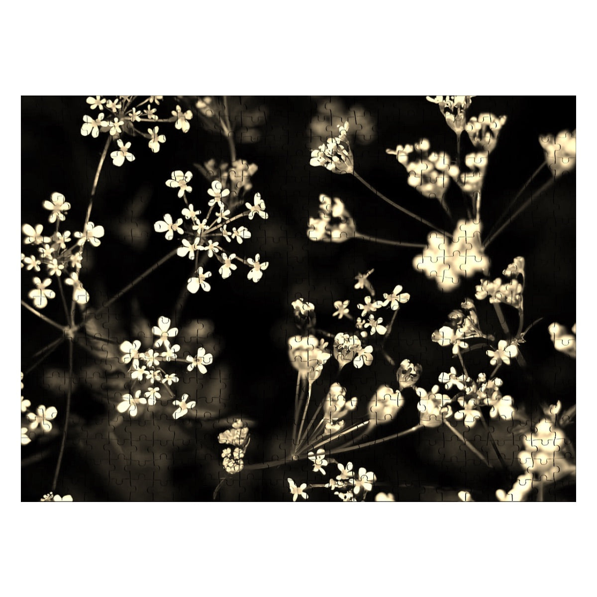 Sepia-toned jigsaw puzzle on oak wood, showing delicate white wildflowers in a warm, vintage-style atmosphere.