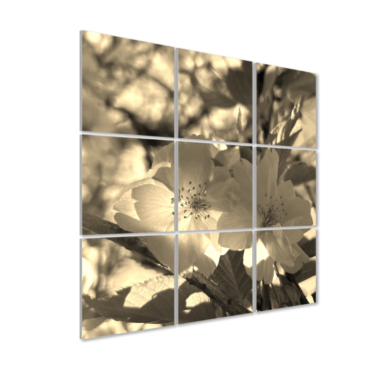 Sepia-toned version of soft blossoms and foliage with warm vintage light, arranged across 9 acoustic wall panels for a nostalgic mood.