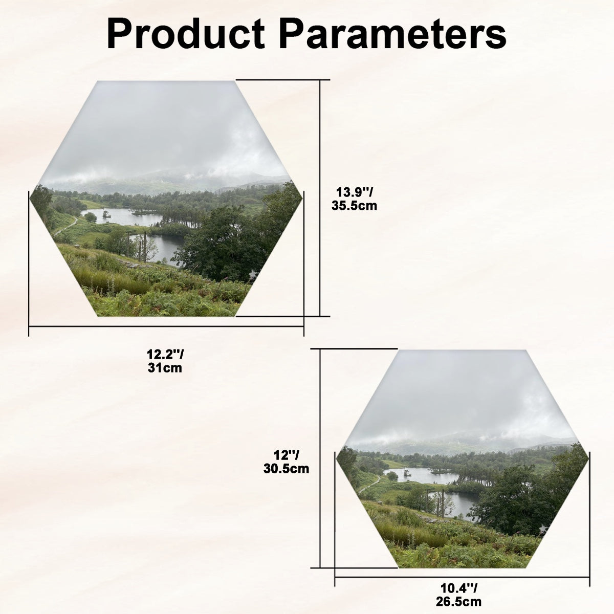 Single Hexagon Decorative Sound Absorbing Wall Panel featuring Tarn Hows Lake District Landscape. image with dimensions labeled