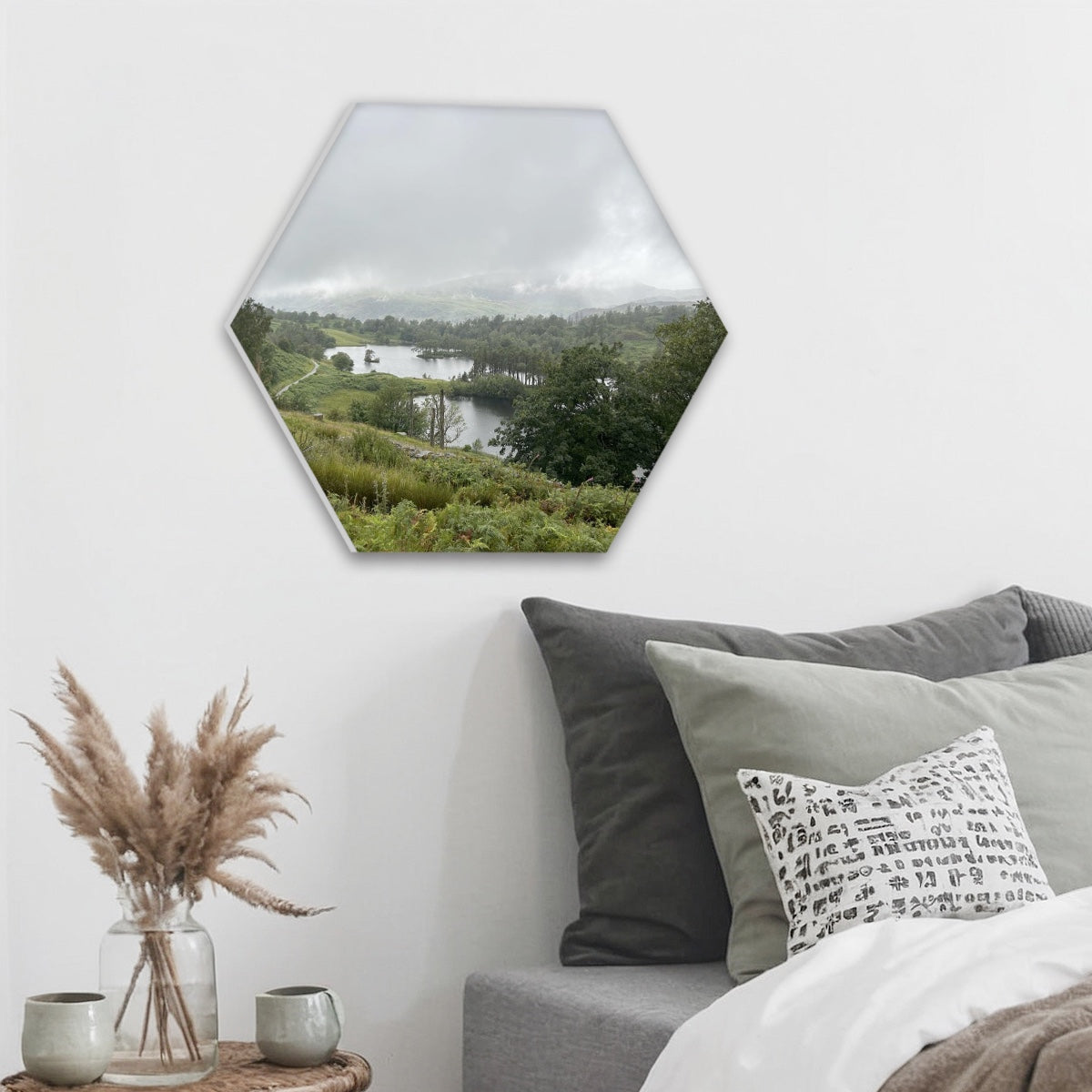 Papis Canvas wall above sofa Single Hexagon Decorative Sound Absorbing Wall Panel featuring Tarn Hows Lake District Landscape.