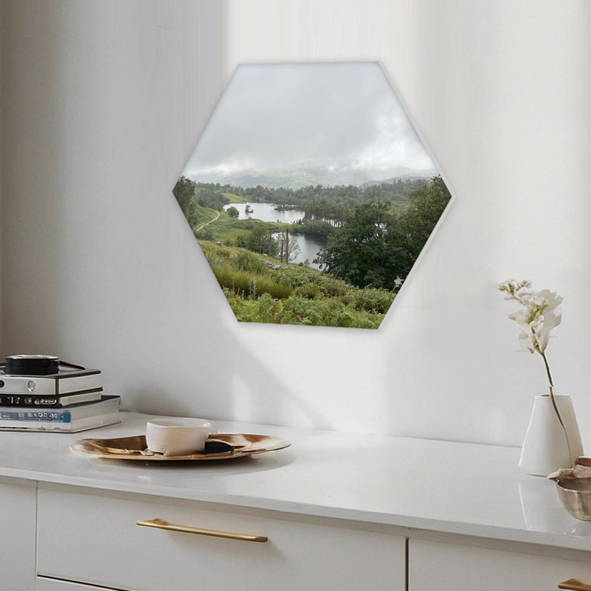 Single Hexagon Decorative Sound Absorbing Wall Panel featuring Tarn Hows Lake District Landscape. Hanging above white console