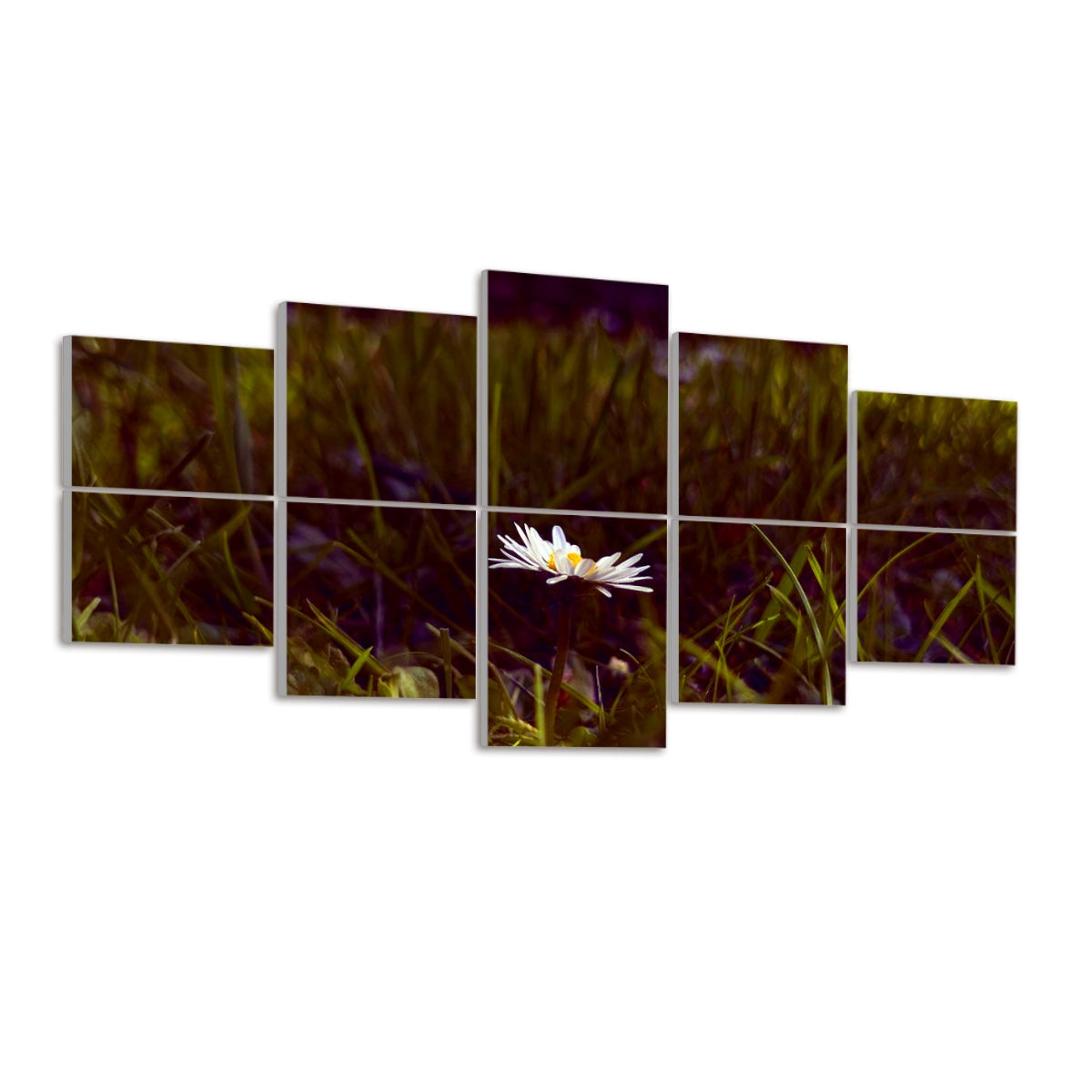 Ten panels displayed in a 2×5 grid showcase the meadow with bold magenta and deep blue highlights on a neutral surface