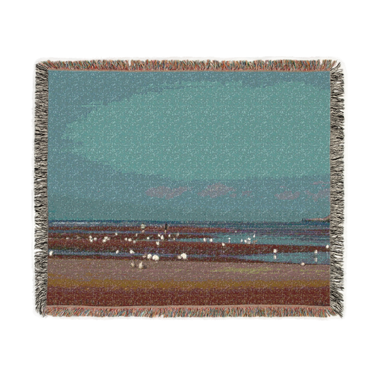 woven blanket featuring beach and seagulls in Blackpool size: 60''x50''