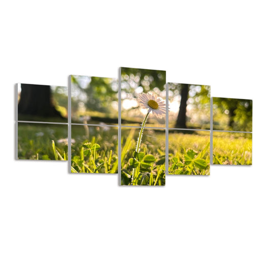 Left-angled view of full color acoustic panels featuring a single daisy in sunlight surrounded by soft green foliage.