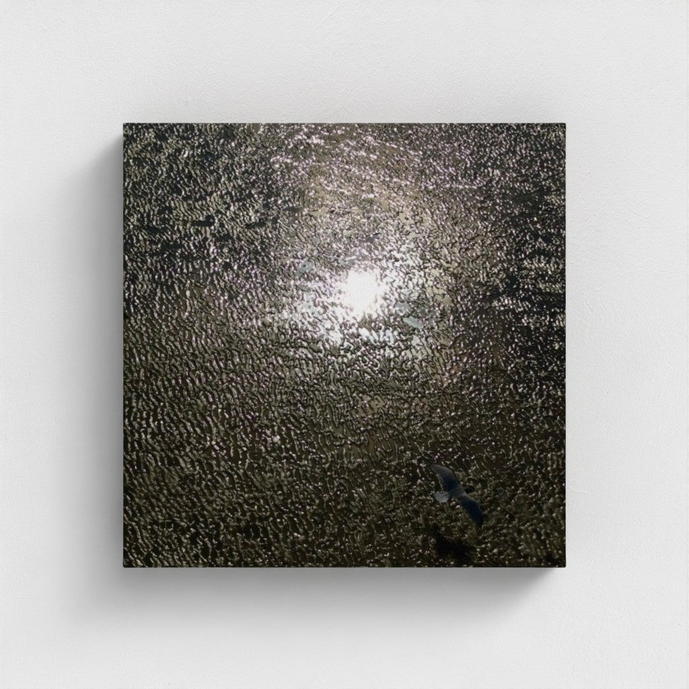 12'' x 12'' square canvas print of seagull flying above shimmering beach textures