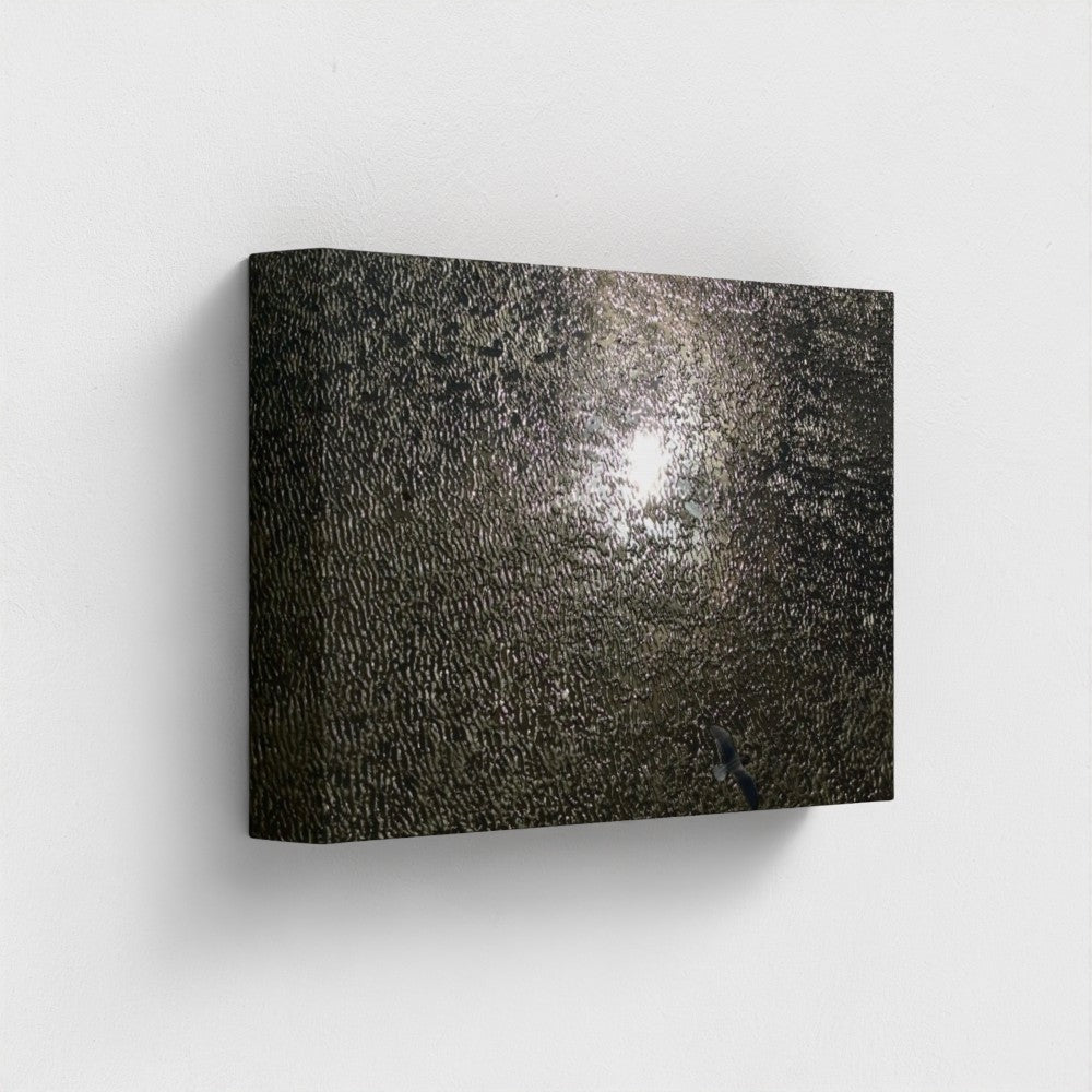 12'' x 8'' eco-friendly canvas of a single seagull gliding above rippled reflective shore