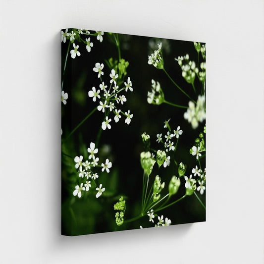 Papi's Canvas Eco-Friendly Recycled Floral Canvas featuring delicate white flowers on a dark green background