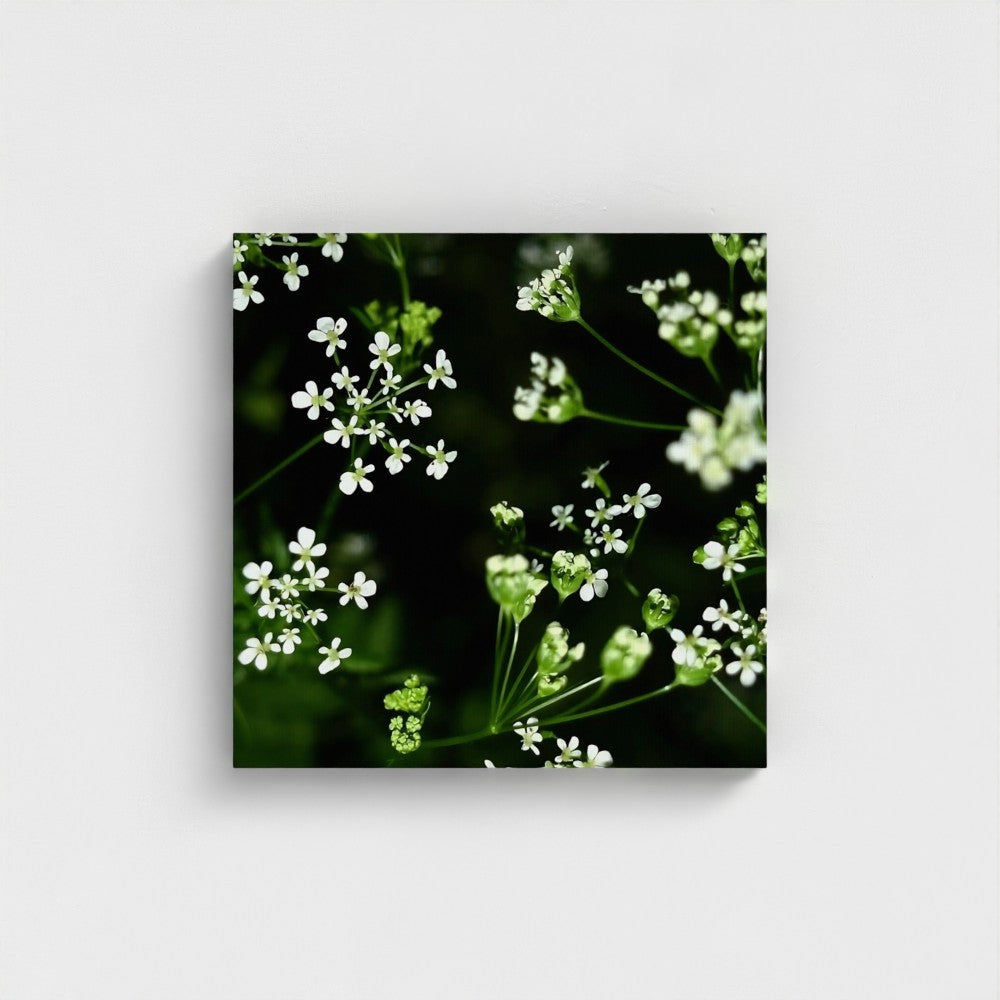 Eco-Friendly Recycled Floral Canvas by Papi's Canvas featuring delicate white flowers on a dark green background