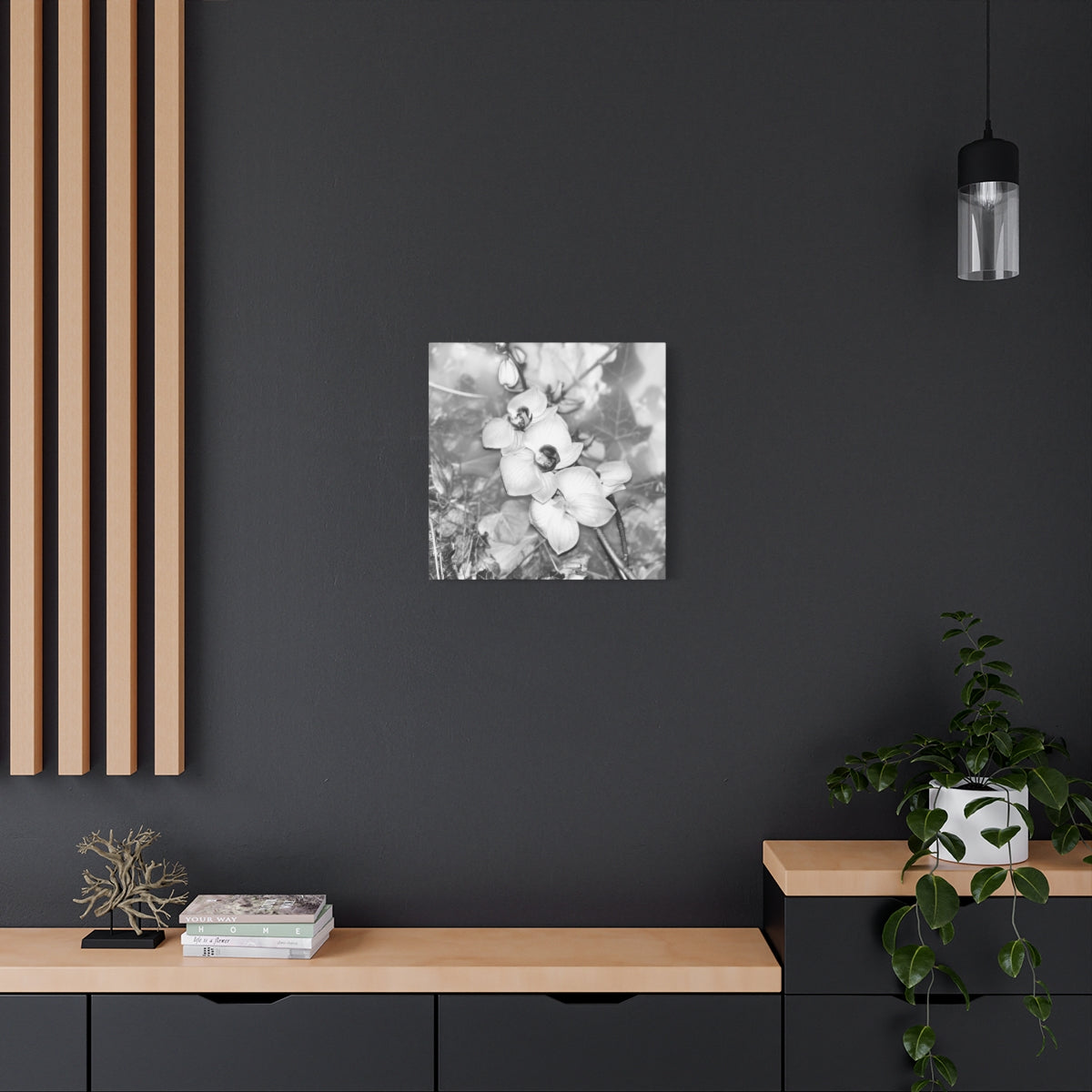 black and white canvas featuring close up of orchids, square, size: 20''x20''