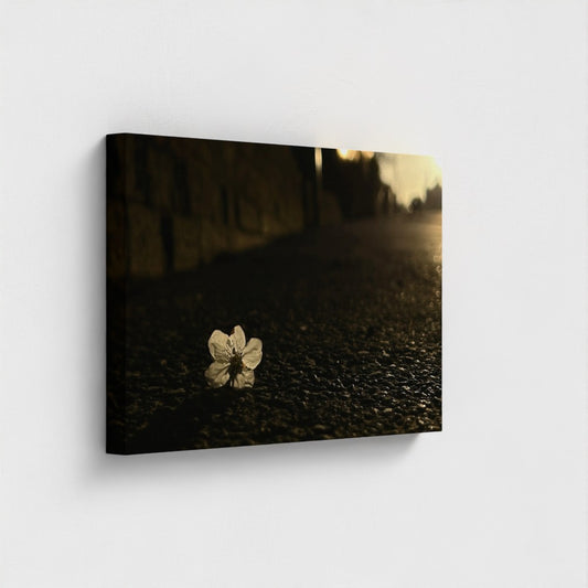 24''x16'' wide landscape eco-friendly canvas of single blossom on asphalt, printed with vegan water-based inks on recycled canvas