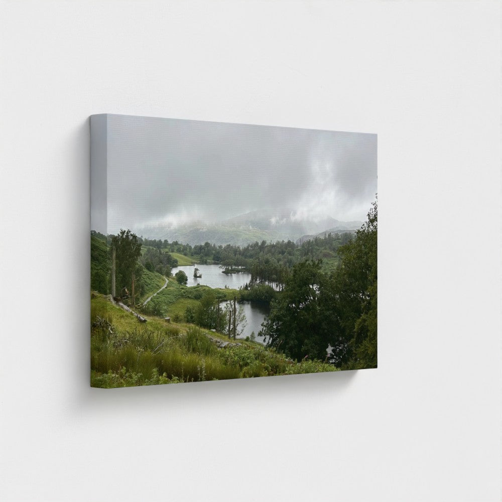 Recycled Canvas Wall Art Tarn Hows Lake District Landscape mid wide view capturing serpentine path and layered conifers fading into cloud