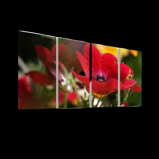 4 floral decorative sound absorbing wall panels featuring close up image of red flower