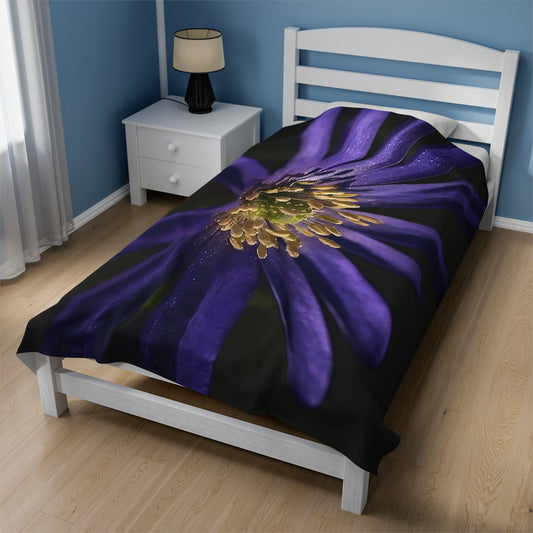 Velveteen Plush Blanket Purple Anemone