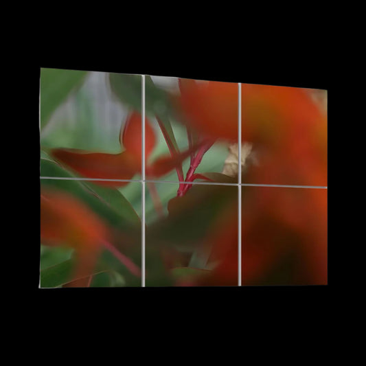 6 Botanical Decorative Sound Absorbing Wall Panels