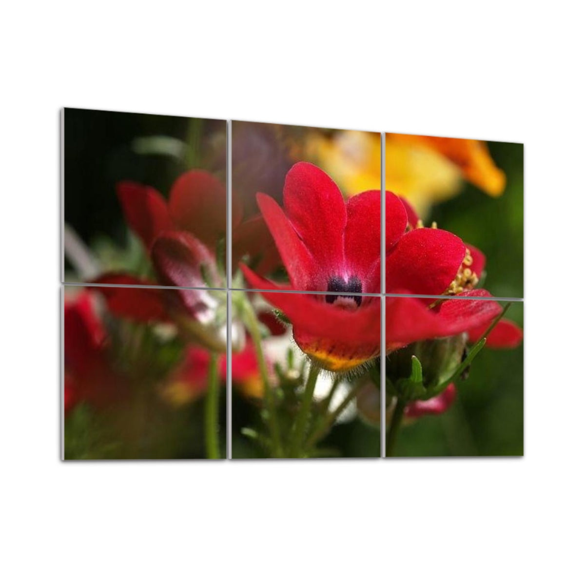 6 floral decorative sound absorbing wall panels featuring close up image of red flower, color: original
