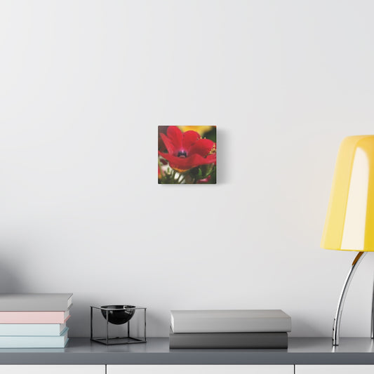 floral canvas print with red flower, size: 6''x6''