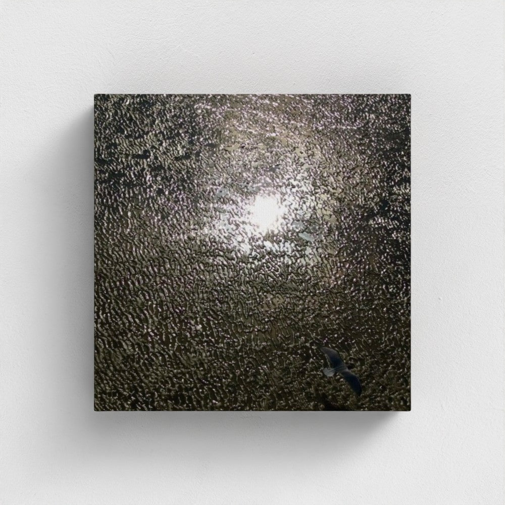 8'' x 8'' eco-friendly canvas showing seagull flying over shimmering wet sand in square format